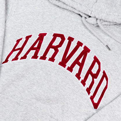 Harvard University H&M Gray Embroidered Logo Hoodie Women’s Medium