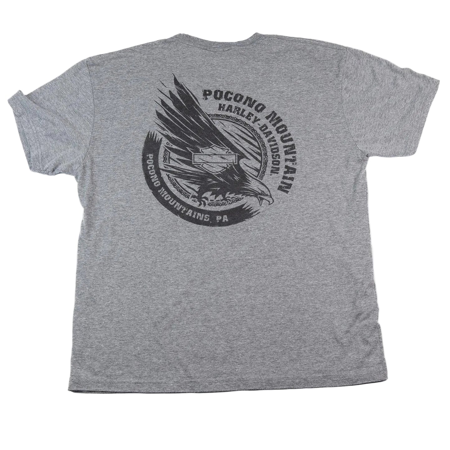 Gray t-shirt with black eagle graphic and text on the back, on a white background