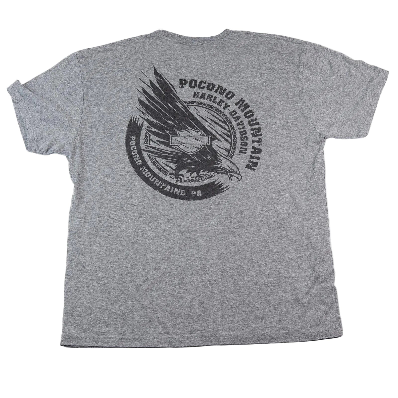 Gray t-shirt with black eagle graphic and text on the back, on a white background