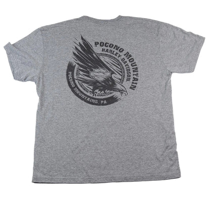 Gray t-shirt with black eagle graphic and text on the back, on a white background