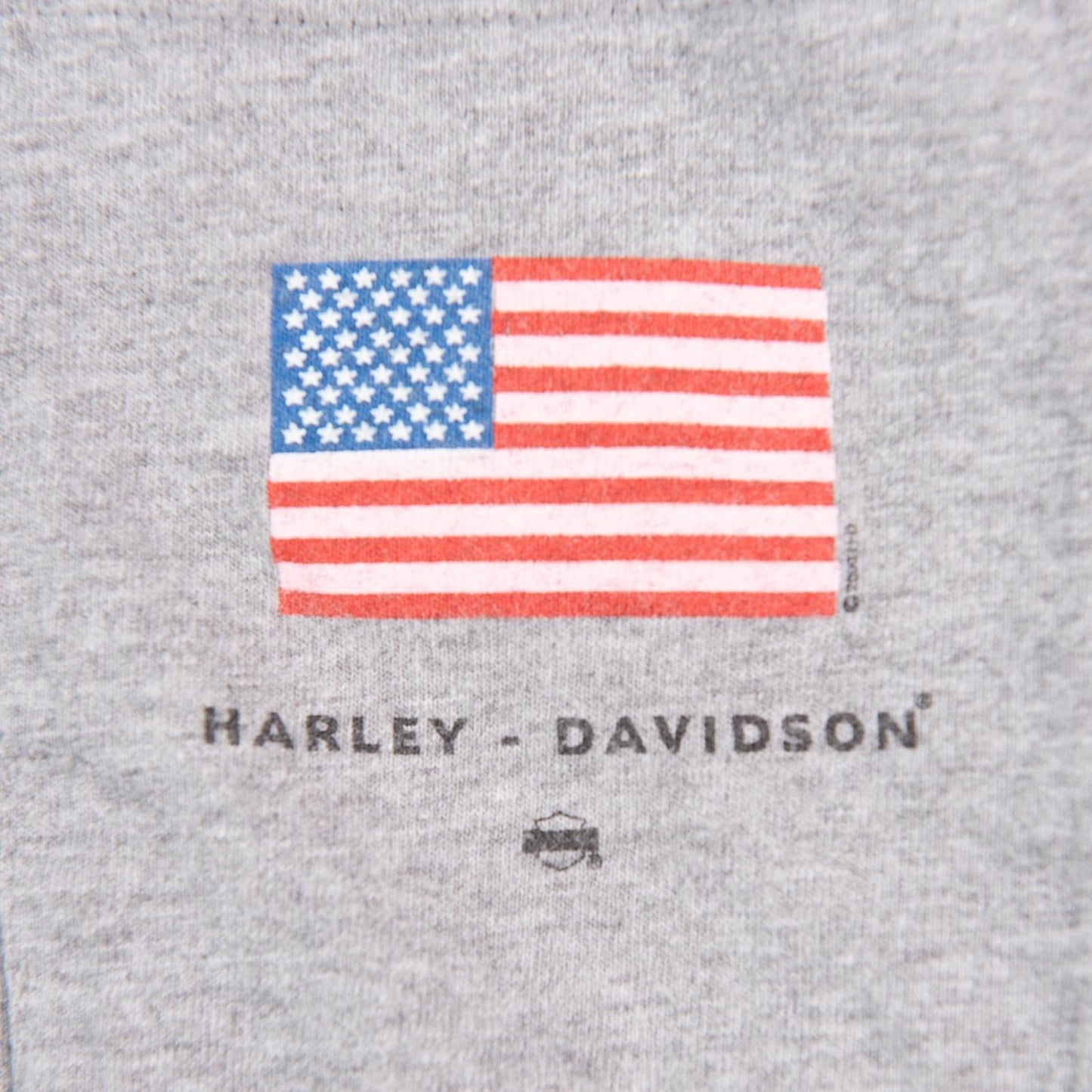 Vintage 2000 Harley Davidson Waterford MI Dealer T-Shirt Gray Men's 2XL