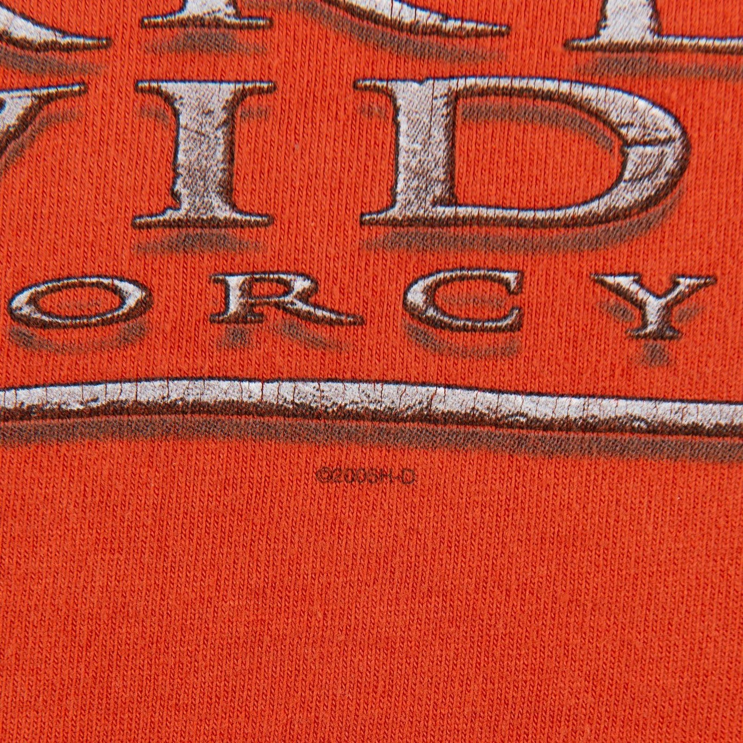 Vintage 2005 Harley Davidson Savannah GA T-Shirt Men's XL